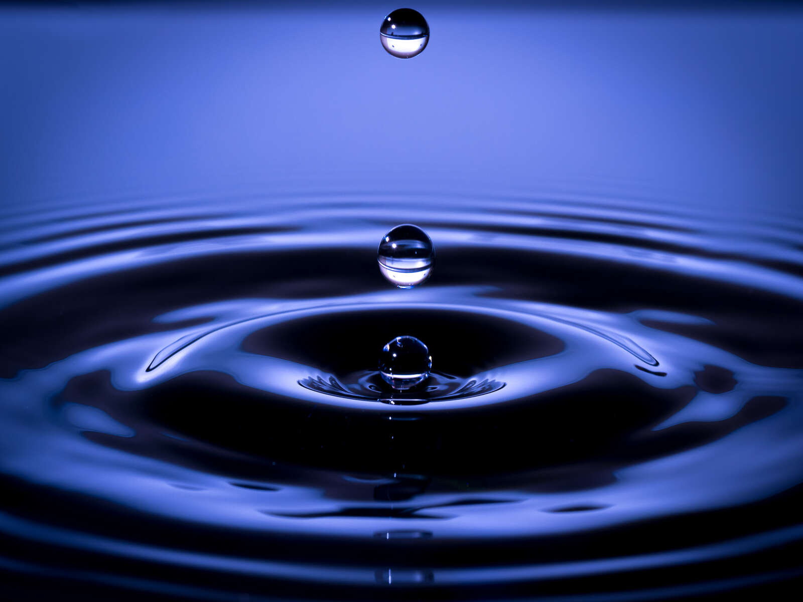 Thirsting After Knowledge